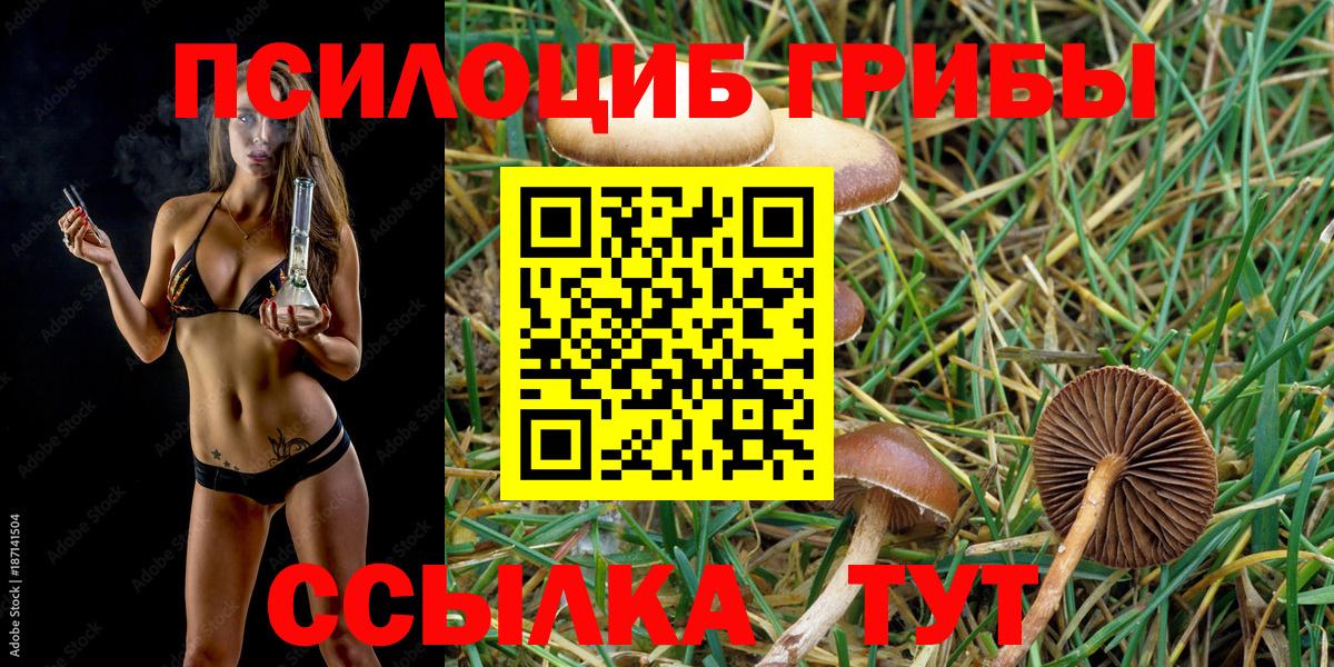 Псилоцибиновые грибы ЛСД Ярцево