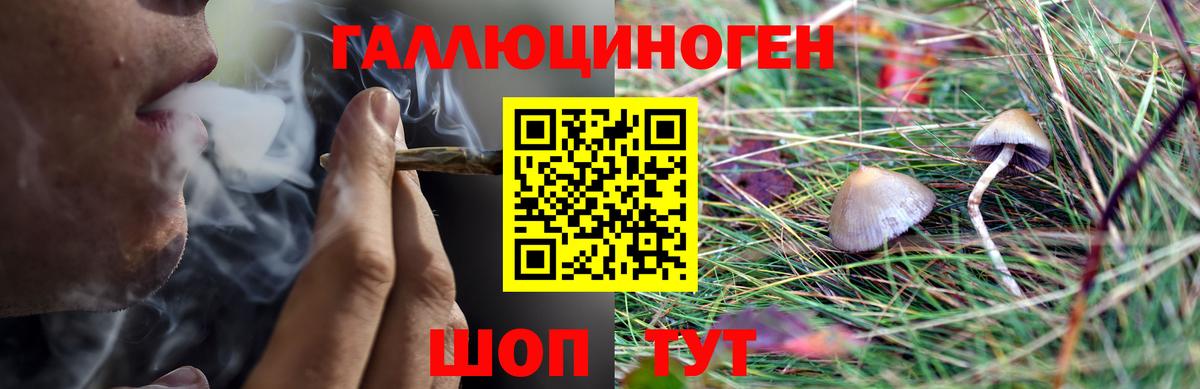 Псилоцибиновые грибы Psilocybe  Вход с VPN  Ярцево 